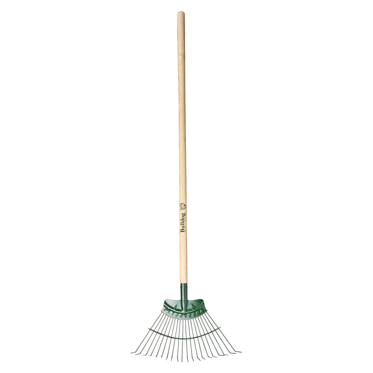 Bulldog 48" Ash Handle Springbok Rake