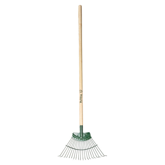 Bulldog Springbok Rake with 48" Ash Handle