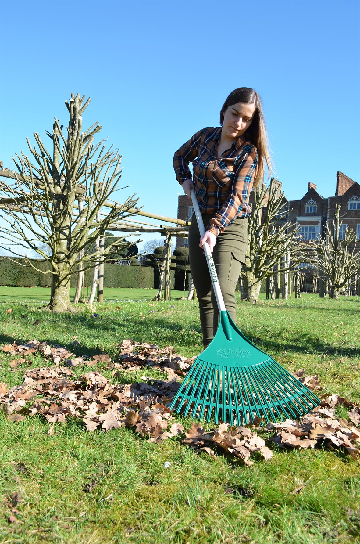 Bulldog Plastic Leaf Rake with 48" Ash Handle
